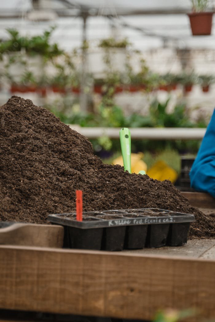 our-story Close-up of soil and seedling tray in a greenhouse setting, ready for planting.